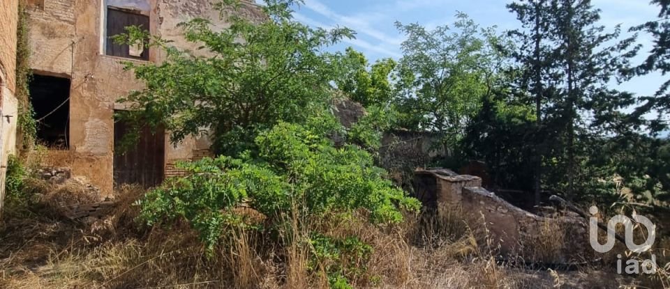 Terreno de 15.697 m² en Móra d'Ebre (43740)