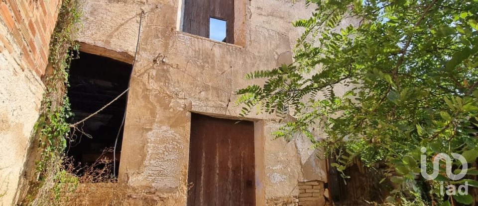 Terreno de 15.697 m² en Móra d'Ebre (43740)