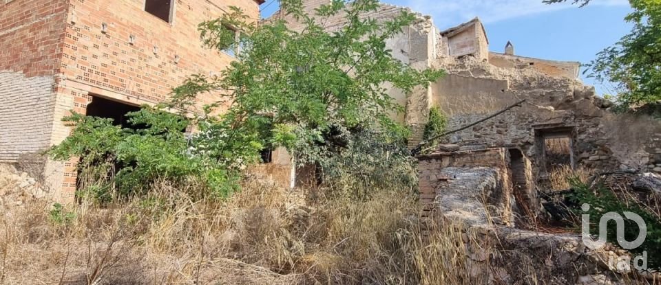 Terreno de 15.697 m² en Móra d'Ebre (43740)