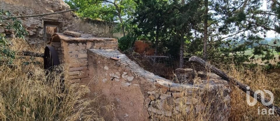 Terreno de 15.697 m² en Móra d'Ebre (43740)