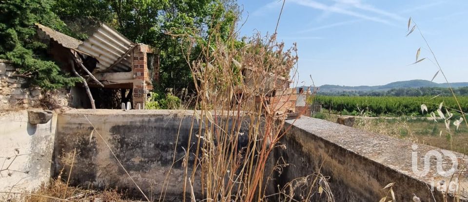 Terreno de 15.697 m² en Móra d'Ebre (43740)