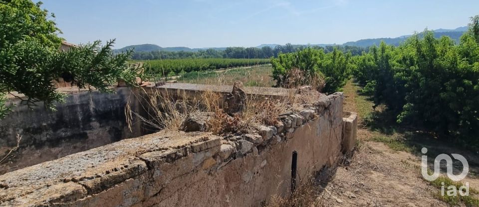 Terreno de 15.697 m² en Móra d'Ebre (43740)