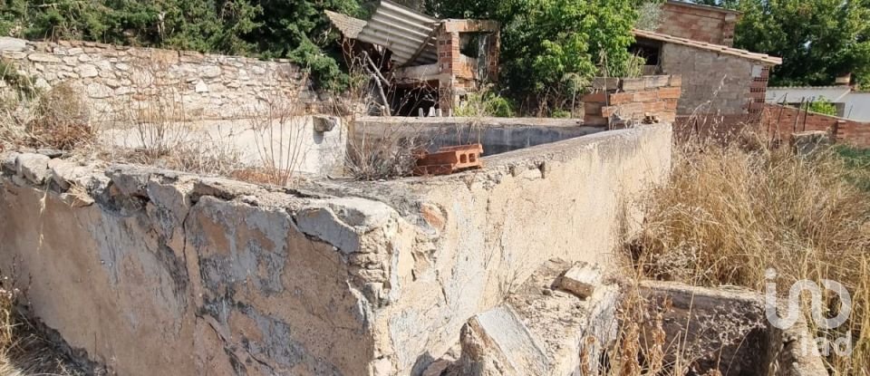 Terreno de 15.697 m² en Móra d'Ebre (43740)