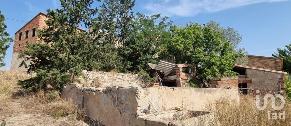 Terreno de 15.697 m² en Móra d'Ebre (43740)