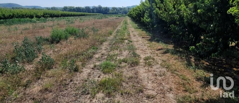 Terreno de 15.697 m² en Móra d'Ebre (43740)