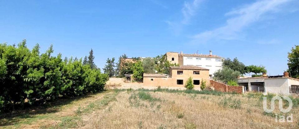 Terreno de 15.697 m² en Móra d'Ebre (43740)