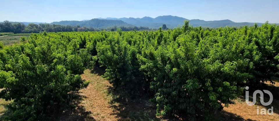 Terreno de 15.697 m² en Móra d'Ebre (43740)