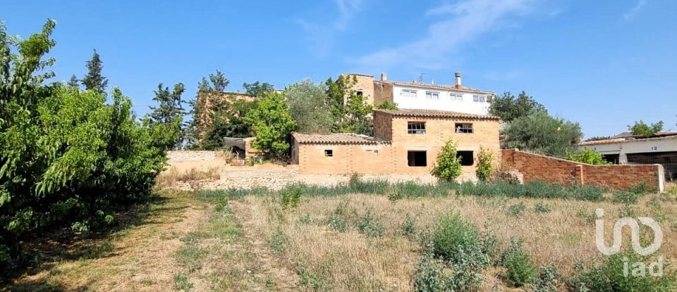 Terreno de 15.697 m² en Móra d'Ebre (43740)