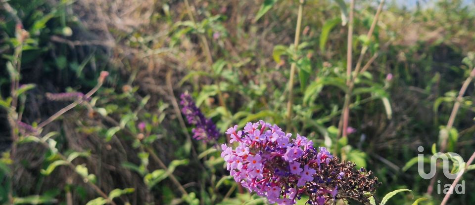 Terrain à bâtir de 5 366 m² à Arroyo (33392)