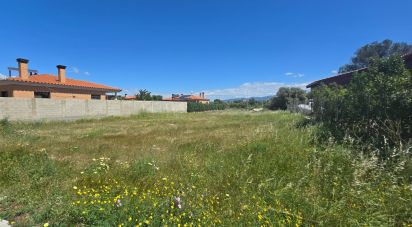 Land of 803 m² in Observatorio del Ebro (43529)