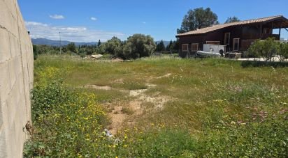 Land of 803 m² in Observatorio del Ebro (43529)