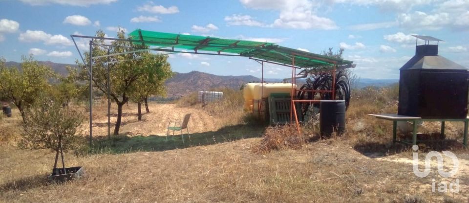 Farm land of 14,076 m² in Riba-Roja d'Ebre (43790)