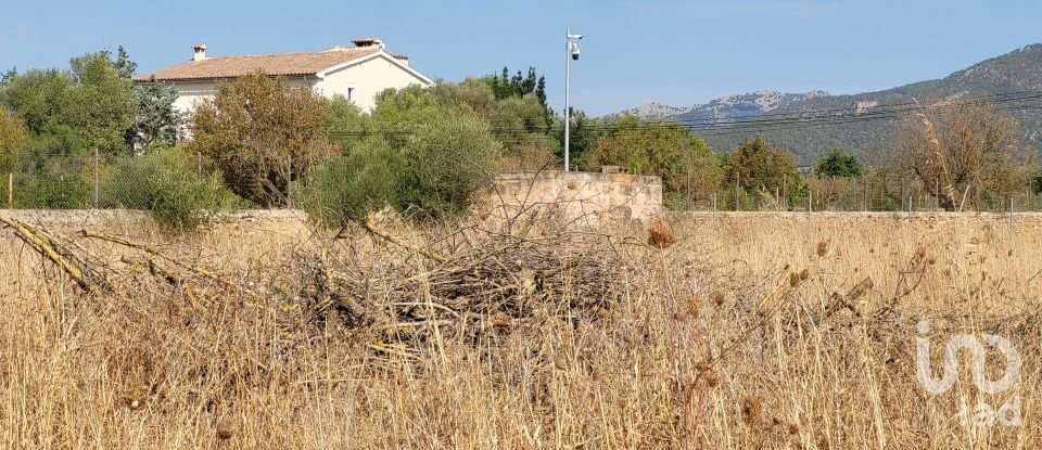 Land of 19,777 m² in Santa María del Camí (07320)