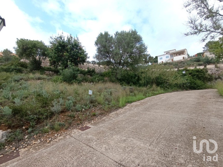 Terrain de 600 m² à Vinaros (12500)