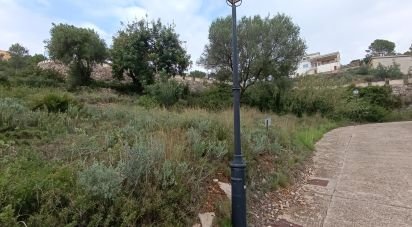 Land of 600 m² in Vinaros (12500)