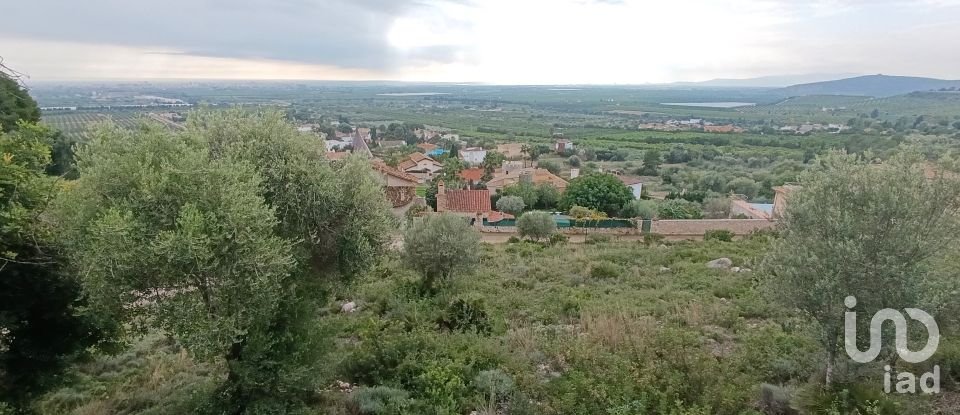 Terrain de 600 m² à Vinaros (12500)