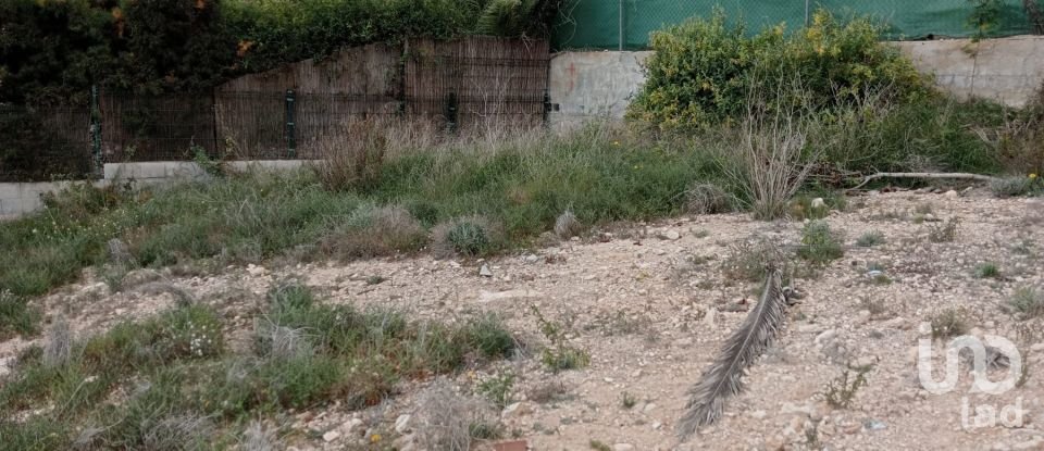 Building plot of 809 m² in San Fulgencio (03177)