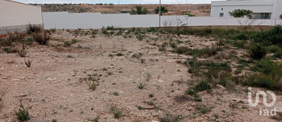 Building plot of 809 m² in San Fulgencio (03177)