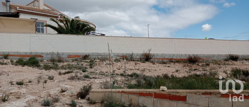 Building plot of 809 m² in San Fulgencio (03177)