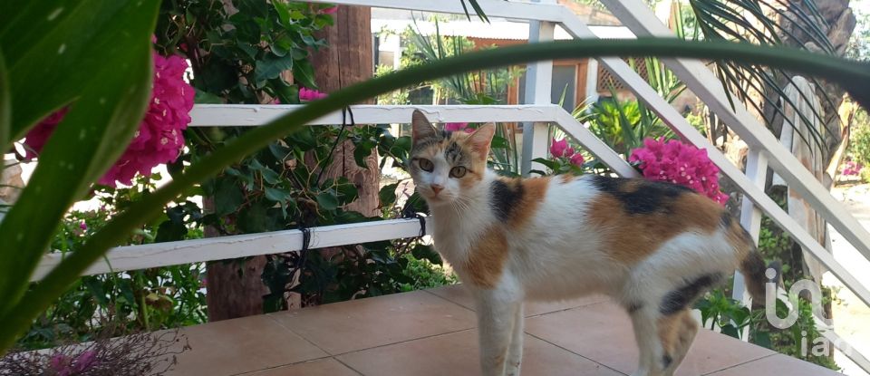 Building in Tortosa (43500) of 354 m²