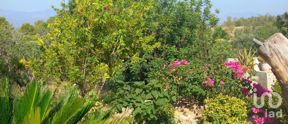 Building in Tortosa (43500) of 354 m²