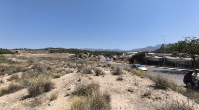 Building plot of 44,600 m² in Sax (03630)