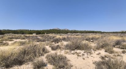 Terreno urbano de 44.600 m² en Sax (03630)