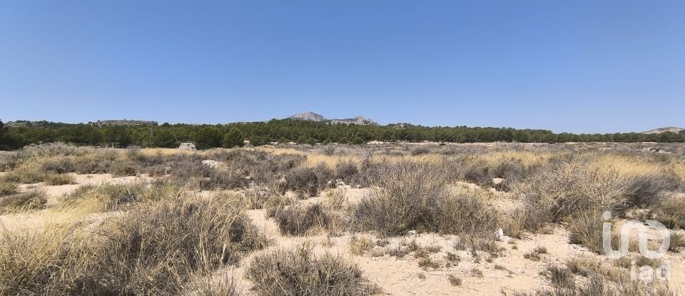 Building plot of 44,600 m² in Sax (03630)