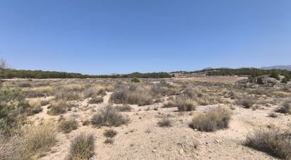 Building plot of 44,600 m² in Sax (03630)