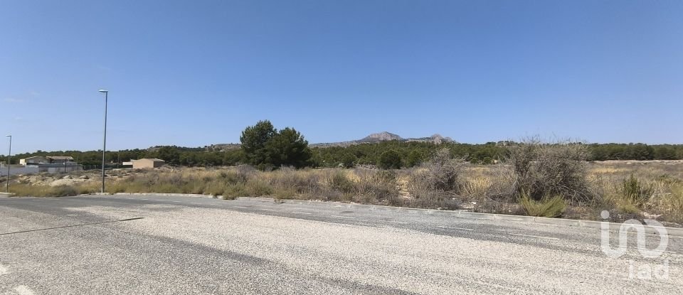 Building plot of 44,600 m² in Sax (03630)