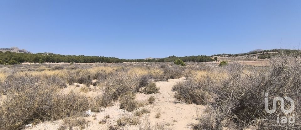 Building plot of 44,600 m² in Sax (03630)