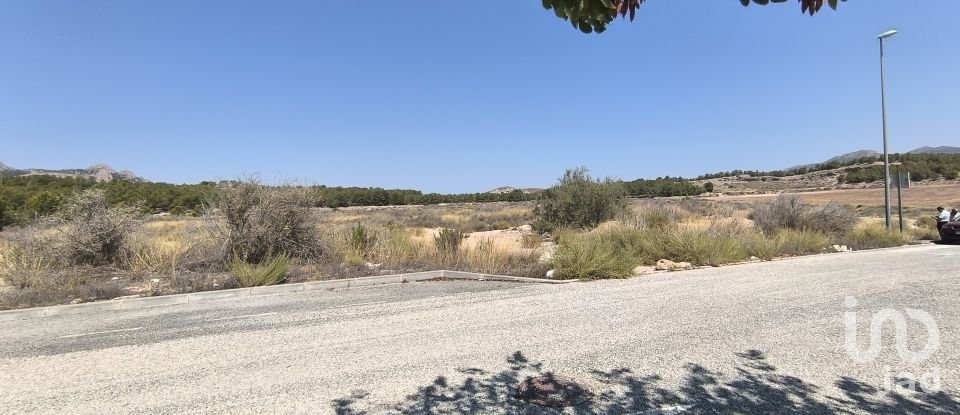 Building plot of 44,600 m² in Sax (03630)