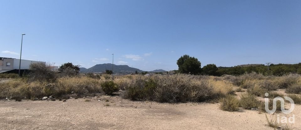 Building plot of 44,600 m² in Sax (03630)