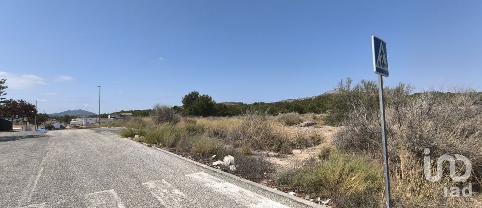 Building plot of 44,600 m² in Sax (03630)