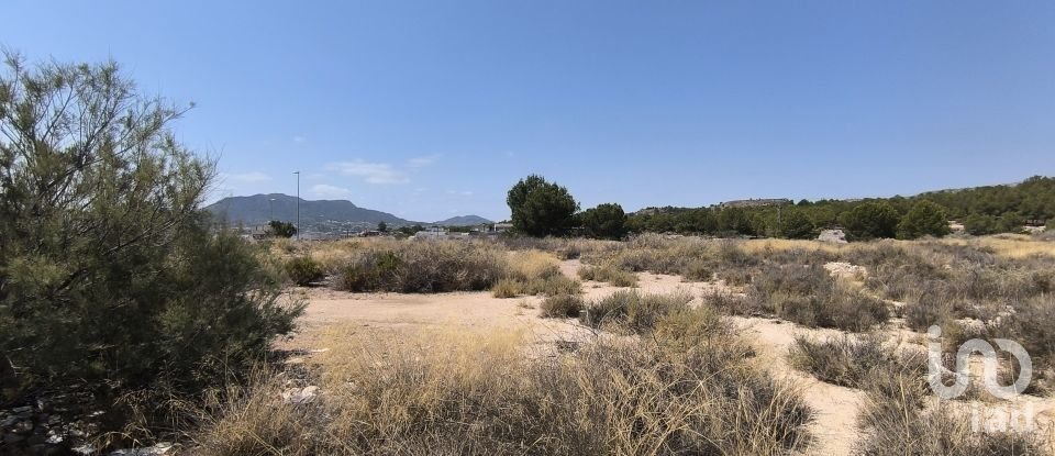 Building plot of 44,600 m² in Sax (03630)