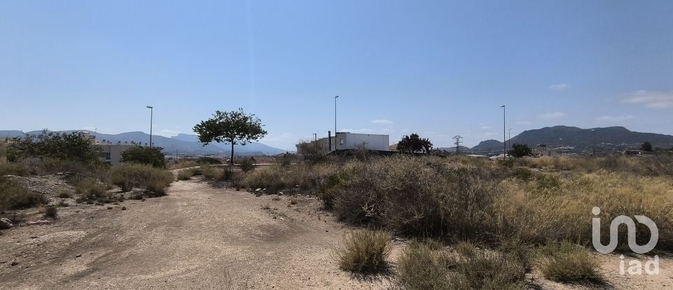 Building plot of 44,600 m² in Sax (03630)