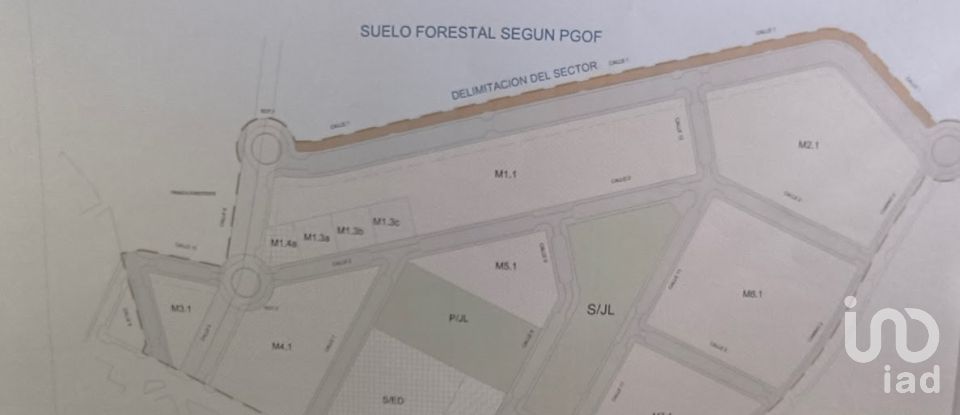 Building plot of 44,600 m² in Sax (03630)
