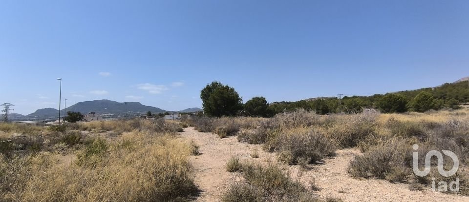 Building plot of 44,600 m² in Sax (03630)