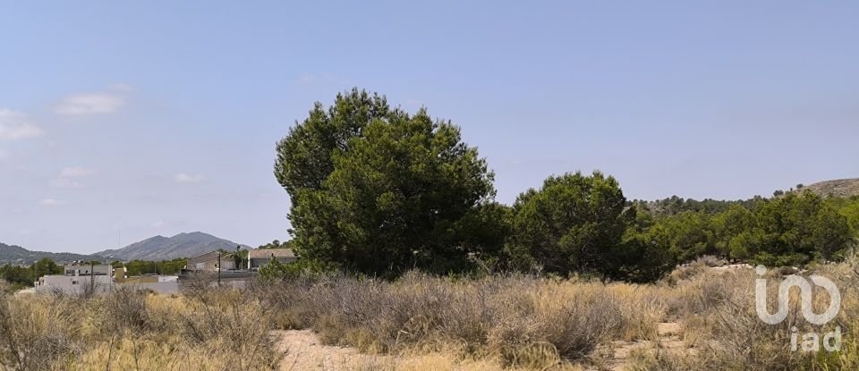 Building plot of 44,600 m² in Sax (03630)