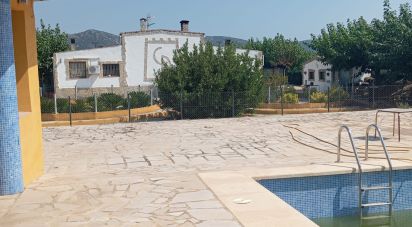 Land of 32,675 m² in Ulldecona (43550)