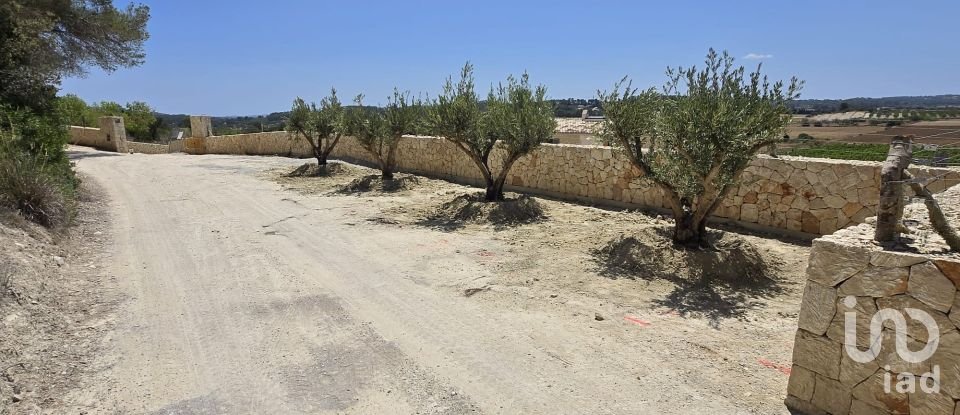 Cottage 6 bedrooms of 718 m² in Montuiri (07230)