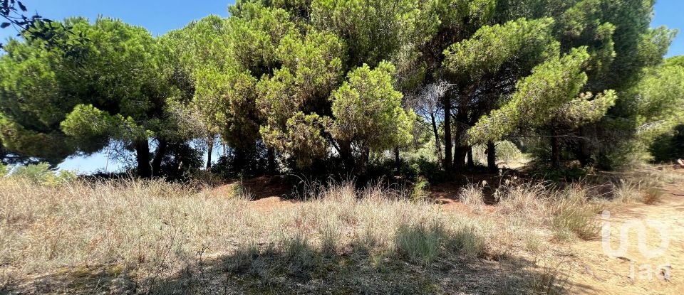 Terreno urbano de 629 m² en Arenys de Mar (08350)