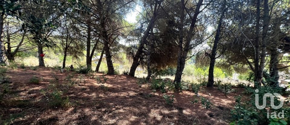 Terreno urbano de 629 m² en Arenys de Mar (08350)