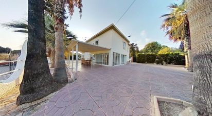 Cottage 6 bedrooms of 357 m² in Elx/Elche (03205)