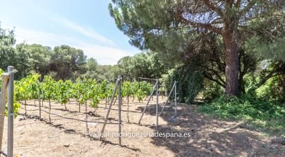 Hacienda / Cortijo 8 habitaciones de 296 m² en Lepe (21440)
