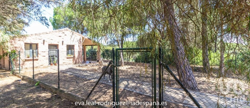 Hacienda / Cortijo 8 habitaciones de 296 m² en Lepe (21440)