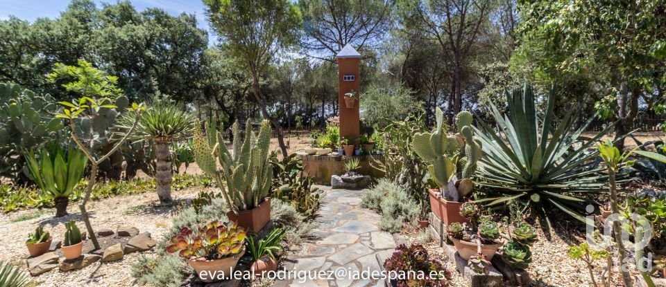 Hacienda / Cortijo 8 habitaciones de 296 m² en Lepe (21440)