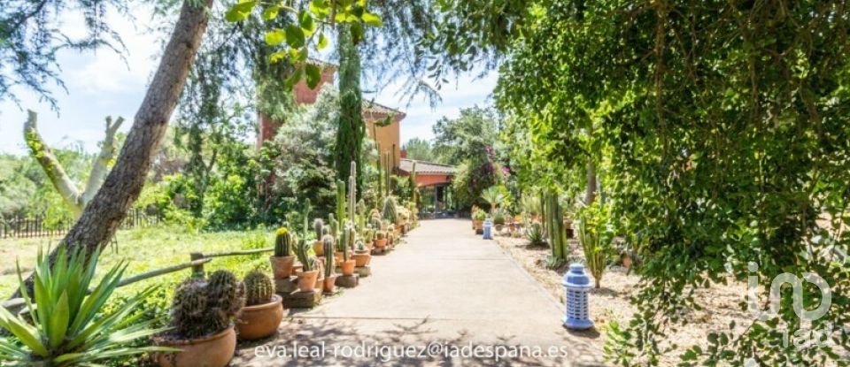 Hacienda / Cortijo 8 habitaciones de 296 m² en Lepe (21440)