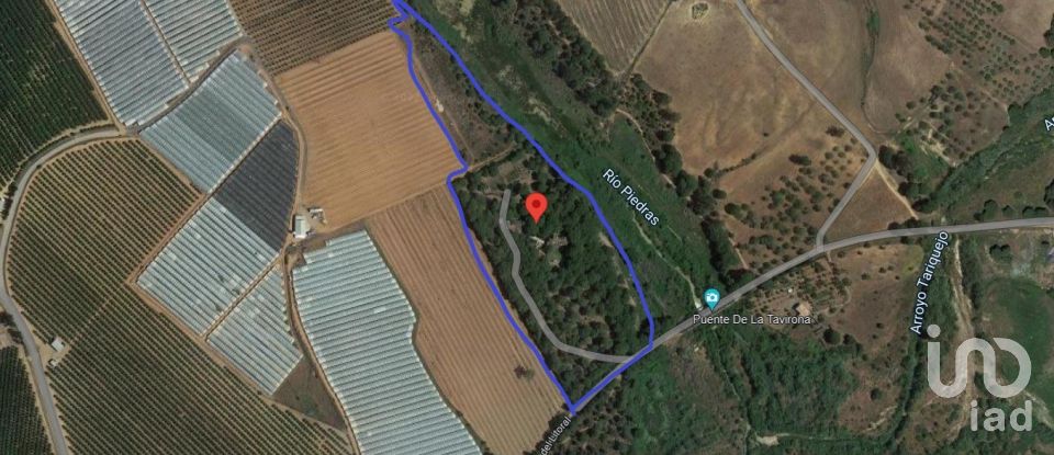 Hacienda / Cortijo 8 habitaciones de 296 m² en Lepe (21440)