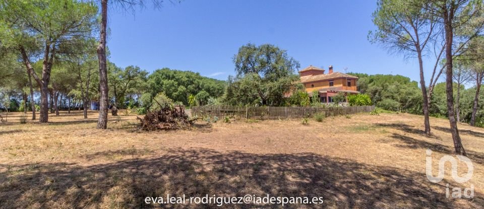 Hacienda / Cortijo 8 habitaciones de 296 m² en Lepe (21440)